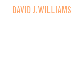 David J. Williams: The Burning Skies