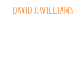 David J. Williams: The Machinery of Light
